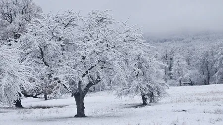 Horoscop 22 noiembrie 2025. Zi a clarităţii, a intenţiilor ferme şi a unei energii fabuloase de la o drumeţie în natură