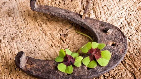 Cod roşu de NOROC: 4 ZODII dau lovitura până la final de noiembrie 2025