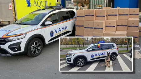 Schimbare la Vama București. Noua șefă Elena Spătaru, acuzată de legături directe cu gruparea Murfatlar și afacerile cu țigări Snagov și Carpați