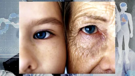 Cercetătorul care a demonstrat că pot fi întinerite celulele fără modificări genetice, Patrick Paine, vine la București