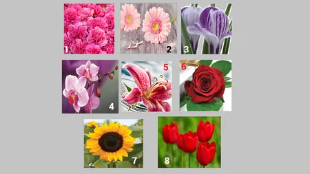 Alege o floare și vezi ce spune despre tine. Răspunsul este șocant de adevărat