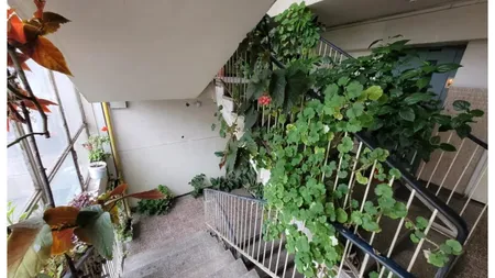 Amendă de 10.000 lei pentru românii care locuiesc la bloc. Ce reguli din Codul Civil trebuie să respecte