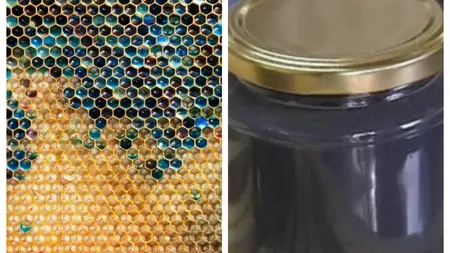 Ce este mierea albastră. Urmează să ajungă și în magazinele din România