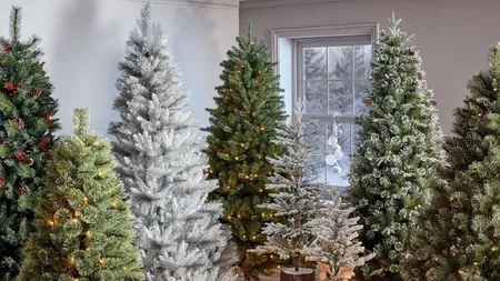 Au apărut primii brazi de Crăciun. Cei care vor sărbători pe lux și opulență trebuie să scoată din buzunar peste 4.400 de lei