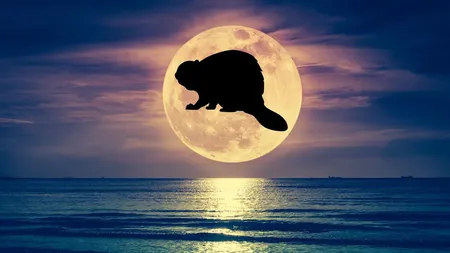 Horoscop 5 noiembrie 2025, Luna plină în Taur. Ce ne aduce cea mai STRĂLUCITOARE Lună plină a anului