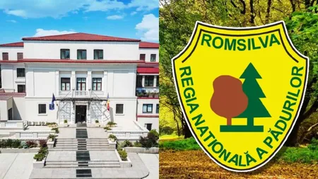 După dezvăluirile România TV, Curtea de Conturi a publicat raportul de control privind Romsilva. Jaf prin contracte cu dedicație și prețuri dictate chiar de firmele câștigătoare