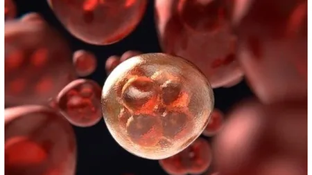 Bolnavii de leucemie au o nouă speranță. Cercetătorii au descoperit un tratament care omoară celulele canceroase