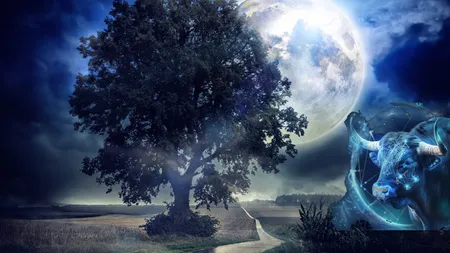 Horoscop 26 noiembrie 2025. Situaţii-limită pentru mai multe zodii, zi cu lecţii importante