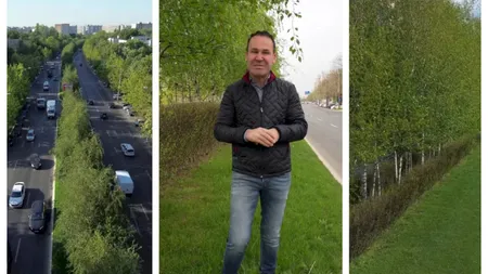 Primarul Sectorului 3 salută inițiativa Ministerului Mediului de înăsprire a sancțiunilor pentru distrugerea spațiilor verzi urbane