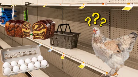 „Apocalipsa ouălor” are ca efect scumpirea cozonacilor. Se anunță vremuri grele chiar înainte de sărbători