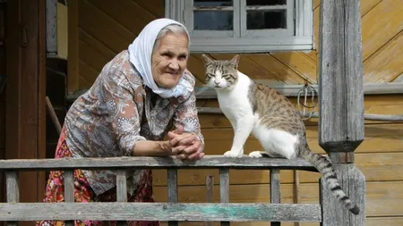 Ce se întâmplă cu pensiile în luna decembrie 2025. Anunț oficial de la Casa Națională de Pensii despre bonusul de 400 de lei