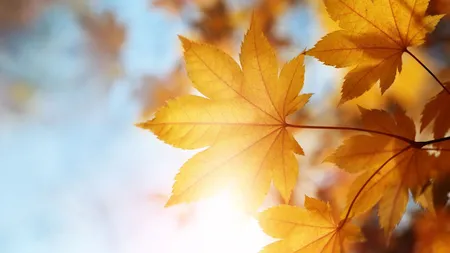 Prognoza meteo: vremea se încălzeşte în cea mai mare parte a ţării. Ce temperaturi vor fi în Capitală