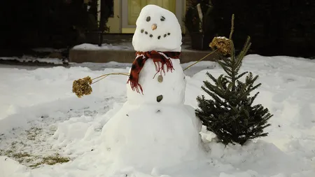 Avertizare meteo de ultimă oră. Meteorologii anunță trei zile de ploi, ninsori și vânt. Cum va fi vremea în București