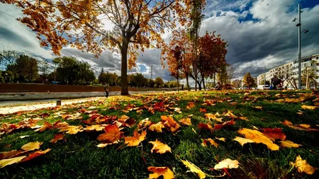 Prognoza meteo 15 noiembrie. Vreme caldă cu temperaturi de primăvară în noiembrie