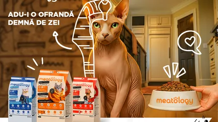 Meatology: brandul românesc super premium cu un model de business bazat pe expertiză medicală și formulare responsabilă