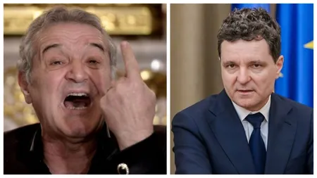 Gigi Becali anticipează că CCR îi va da peste nas lui Nicușor Dan. ”Nu poate face ce vrea el!”