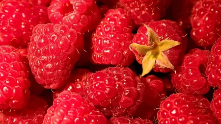 Durerea de neimaginat a unui tată care și-a pierdut fetița de 13 ani, după ce a fost otrăvită de un fruct consumat de multă lume