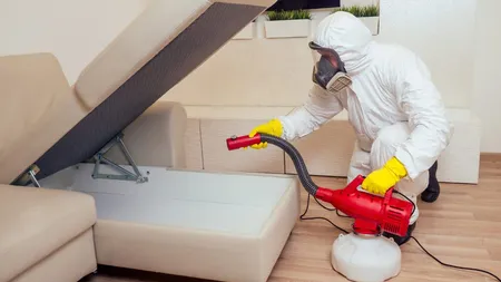 Scapă de ploșnițe: tratamente eficiente prin pulverizare și nebulizare