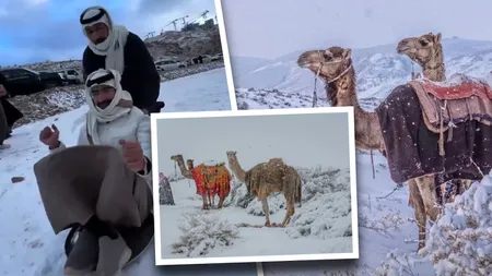 A nins în Arabia Saudită după 30 de ani. Iarnă ca-n povești acolo unde era doar nisip, dunele s-au transformat în pârtii