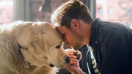 Semnele prin care câinele îți arată că ești bolnav înainte ca tu să-ți dai seama. Explicațiile oferite de specialiști