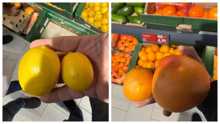 Suntem bătaia de joc a importatorilor de citrice! Director ANPC: 