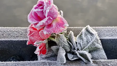 Divorţul gri schimbă regulile jocului. De ce tot mai mulți 