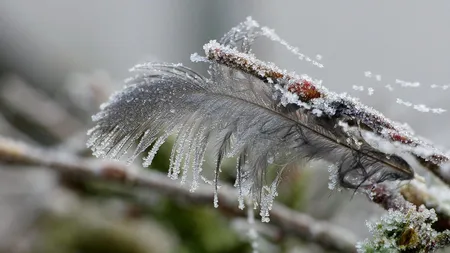Meteorologii Accuweather anunță ger de crapă pietrele. Pe ce dată vor fi -17 grade în România