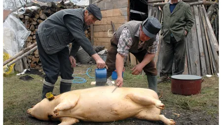 Ignat 2025. Când are loc sacrificarea porcilor și ce tradiții au românii