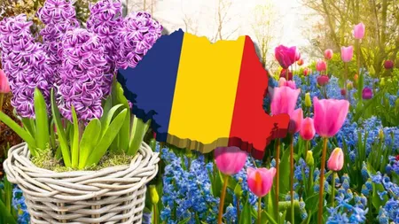 Prognoză meteo pentru primăvara anului 2026. Cum va fi vremea în martie, aprilie și mai, potrivit meteorologilor EaseWeather