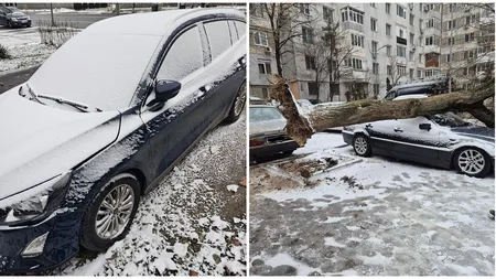 Pagube produse de vremea rea în Capitală. Bucureștenii s-au trezit în prima zi de Crăciun cu zăpadă și mașinile distruse