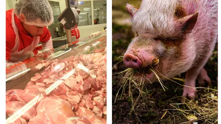 Cât costă porcul de Crăciun cu o săptămână înainte de sărbători în piețe și supermarketuri. Cu cât se vinde porcul în viu direct de la poarta fermei
