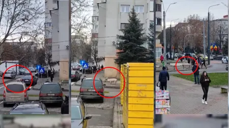 Operațiunea PORCUL: Animalul a spus „nu, mulțumesc” Crăciunului și a luat-o la fugă pe străzile din Vaslui înainte de sacrificare