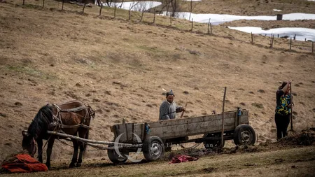AUR propune exceptarea de la plata impozitului pentru anumiți români care trăiesc la sate