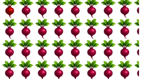 Testul pe care știu să-l rezolve doar cei care au ochi de vultur și mintea unui geniu. Găsește ridichea diferită în cinci secunde