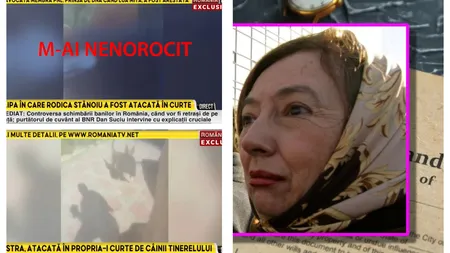 EXCLUSIV Imagini şocante din curtea Rodicăi Stanoiu. Câinii lui Marius Calotă atacă rudele fostei ministre