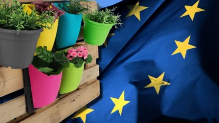Ghivecele vor dispărea de pe piață! Noile reguli pregătite de UE