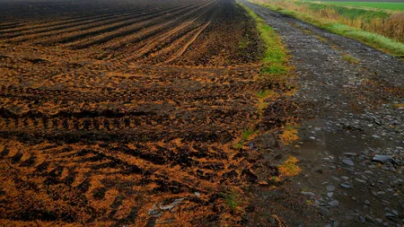 Cât costă un hectar de pământ în 2026. Unde se vinde cel mai scump teren din România