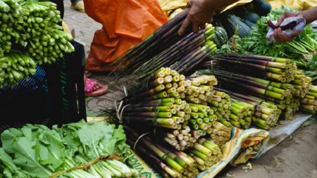 Alimentul care face minuni pentru glicemie și intestine, dar care poate fi folosit și ca material de construcții. Dacă nu este gătit corect, eliberează ceanură