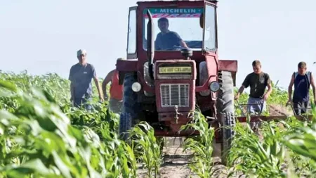 Statele UE au aprobat vineri acordul comercial cu blocul Mercosur. România a votat în favoare deși ministrul Agriculturii s-a opus