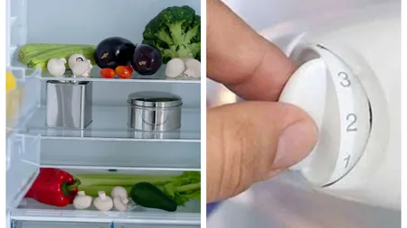 La ce temperatură se ține frigiderul iarna ca să consumi mai puțin curent electric și să nu strici alimentele
