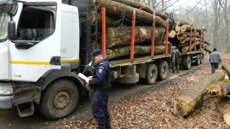 Ministrul Mediului anunţă actualizarea aplicaţiei SUMAL, care împiedică furtul de lemne