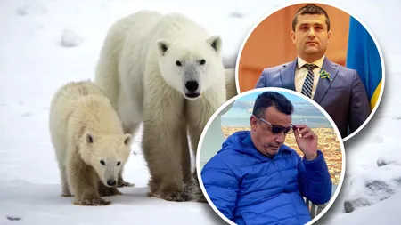 EXCLUSIV Victor Ciutacu, despre Radu Dinel Miruţă şi trupele de menţinere a păcii de pe tărâmul urşilor polari: 