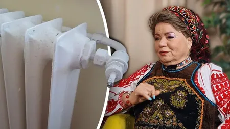 Saveta Bogdan, atac dur la adresa premierului Ilie Bolojan: „Bag caloriferul în priză și plătesc lumina de mă usucă. Tot mai vrea să mai mărească taxele”