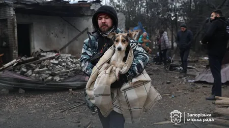 Război în Ucraina. Rusia atacă dezlănţuit, bombele au lovit şi un adăpost pentru câini VIDEO