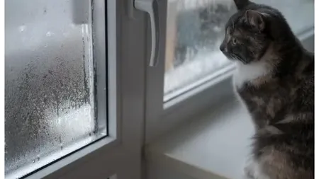 Trucurile ieftine care elimină condensul de pe geamuri. Costă câţiva lei şi concurează cu un dezumidificatoarele costisitoare