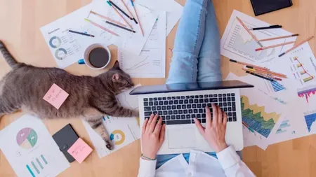 Munca de acasă în 2026. Ce beneficii oferă Codul Muncii persoanelor care lucrează de la distanță