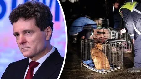 Reacție tranșantă de la Cotroceni după ororile descoperite la adăpostul pentru câini din Suraia: „Cruzimea față de animale este inacceptabilă și nu poate fi justificată în niciun context”
