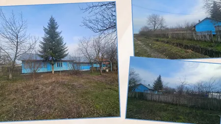 Unde poți cumpăra o casă cu 9.800 de euro în România. Terenul are 2.200 de metri pătrați