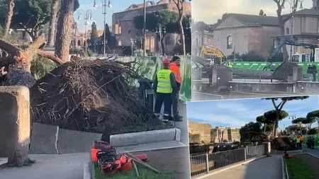 Un bărbat român, rănit după prăbușirea unui copac, în Roma: 
