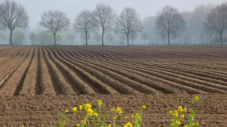Subvenții APIA 2026. Câți bani încasează agricultorii pentru terenurile lăsate pârloagă